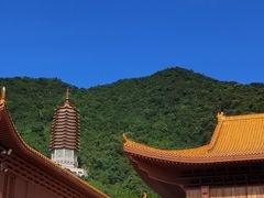 -深圳仙湖植物园