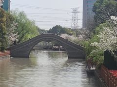 -高东镇樱花园