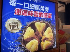 -日月明小渔村•海肠捞饭•大连海鲜(星海广场店)