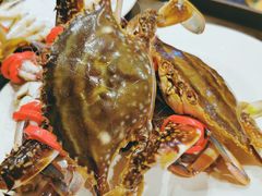 -蓝钻·国际美食海鲜自助百汇(西直门店)