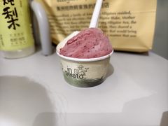 -Dip in Gelato(富民路店)