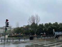 -鞠氏黑芝麻糊(水塔店)