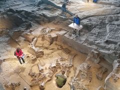 -自贡恐龙博物馆