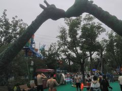 -苏州乐园森林水世界