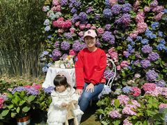 -HERRE·FARM 赫尔露营农场·团建聚会包场