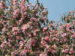 -玄武湖景区-情侣园游乐场