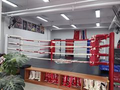 -TFC 纯泰拳馆MuayThai