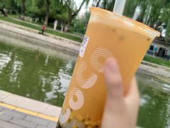 -CoCo都可(方庄店)