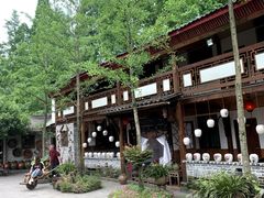 -青城甲(青城山店)