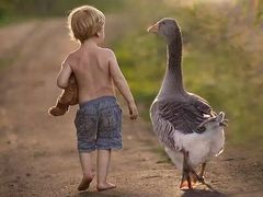 -丸摩堂鲜果茶(玉林店)