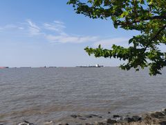 -上海滨江森林公园