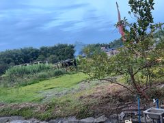 -丰依竹食·老牌竹筒饭