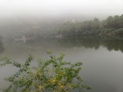 -嵖岈山风景区