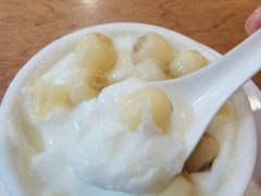 连子双皮奶冷-正德顺順德雙皮奶(中信店)