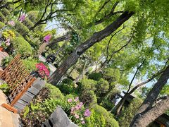 -熙古里艺术村