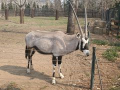 -大连森林动物园