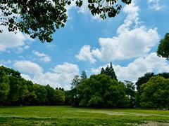 -上海共青森林公园