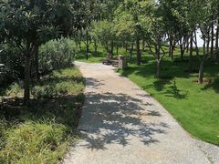 -象湖生态湿地公园