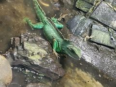 -上海大自然野生昆虫馆(东方明珠·爬宠昆虫探索中心)