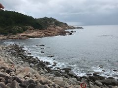 -广东惠东海龟国家级自然保护区