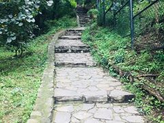 -香山公园