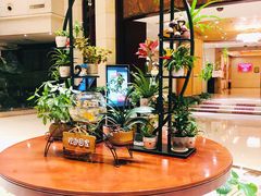 -东方豪景花园酒店·怡景旋转餐厅