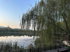 -北坞公园