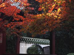 -中山公园