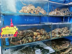 -蚝专家(北滘店)