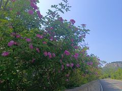-佛慧山