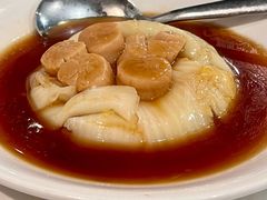 -詠春园