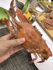 -欧酷世界动力星球(王府井奥莱UP TOWN店)
