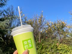 -中国唐苑