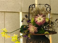 -二酉书店TOYOU BOOKS