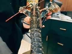 -Oyster Talks 四度蚝法餐厅