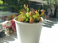-五进制 Coffee Shop