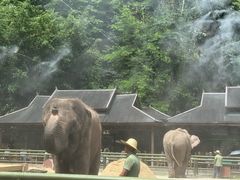 -野象谷景区