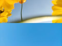 -光明小镇欢乐田园