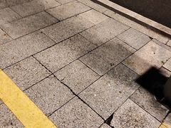 -云溪植物园