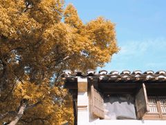 -惠山古镇·寄畅园