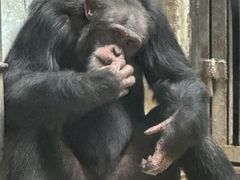 -石家庄市动物园