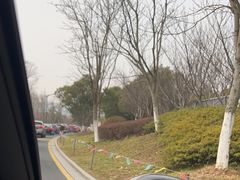 -苏州上方山国家森林公园