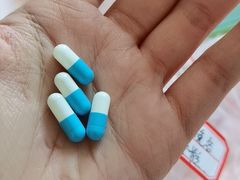 -宠福鑫动物医院(城北分院)