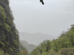 -牛背梁国家森林公园