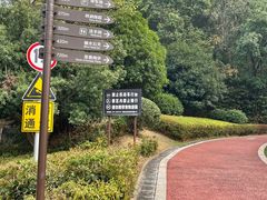 -桃花岭景区