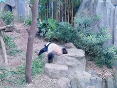 -河川生态园
