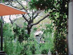 -缘生态云南菜·野生菌庭院餐厅(华侨城店)