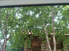 -轩 SUPER LIVE 超级现场(农科路店)