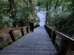 -云碧峰国家森林公园