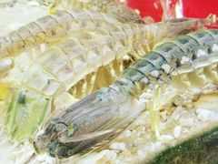 濑尿虾-大树下海鲜饭店